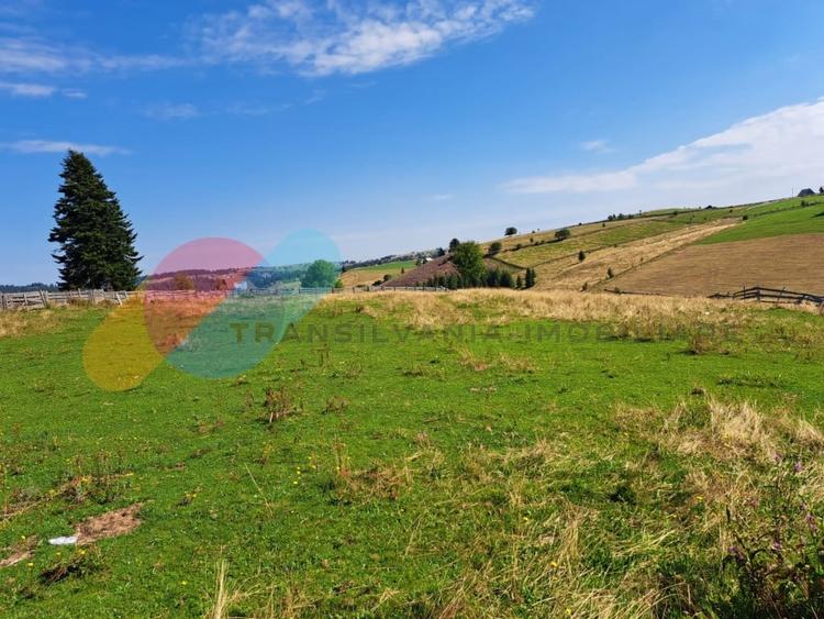 Teren Intravilan 1587 mp, Localitatea Maguri-Racatau - 9