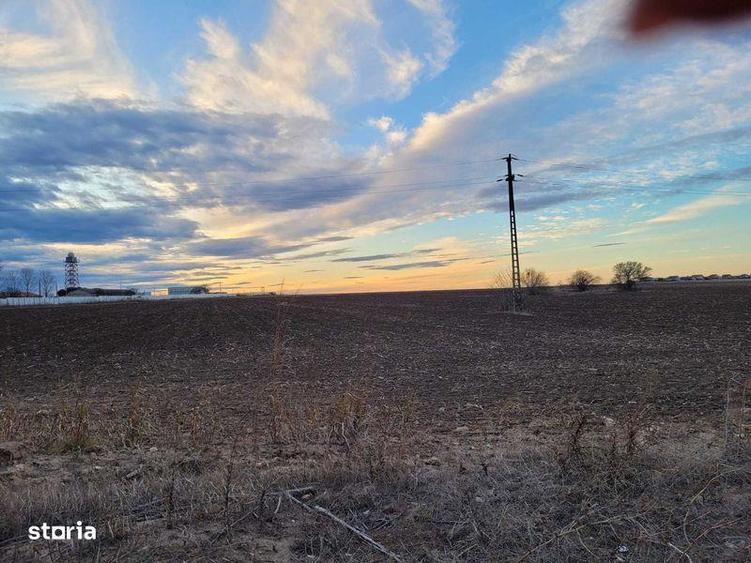 Vanzare teren 2 Mai, Limanu - 4