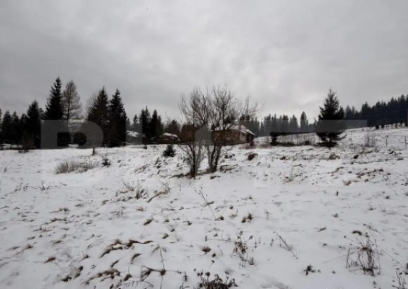 Eren intravilan 10746 mp, front 58 ml, localitatea Pojorata - 1