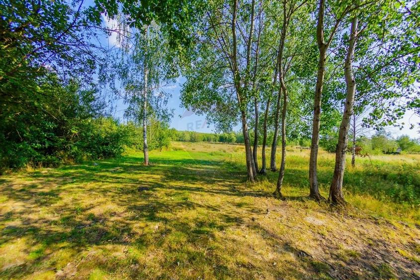 DE VANZARE in Baia Mare -Casa in stil mediteranean la pret redus - 25