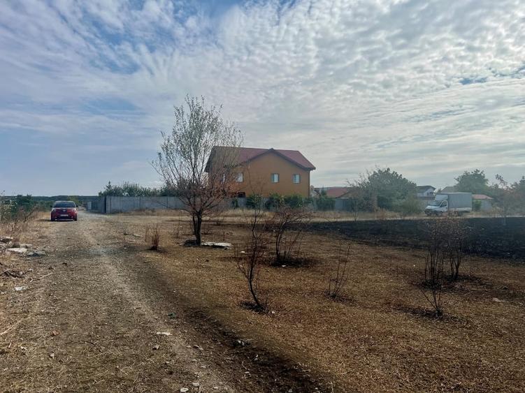 Teren de vânzare, Tamași-Corbeanca - 1