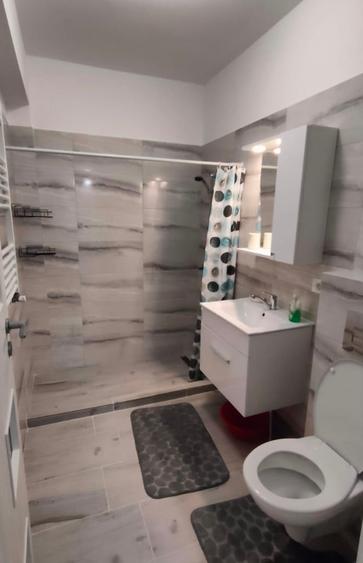 Inchiriere Garsoniera Biruintei Popesti - 8