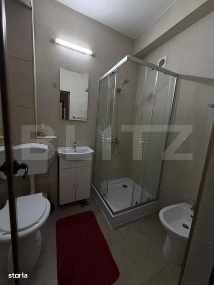 Apartament 1 Camera - Zona Spicu - 4