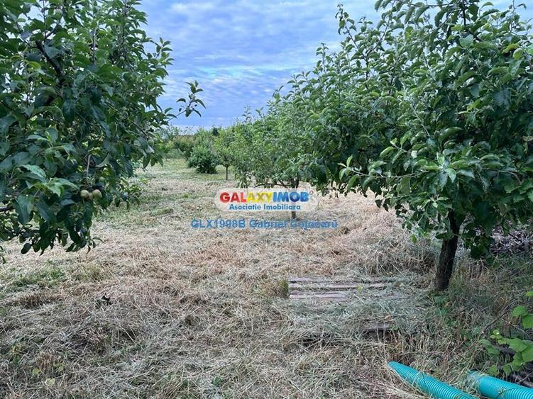 Teren de vanzare 754mp Corbeanca zona Laguna Albastra - 3