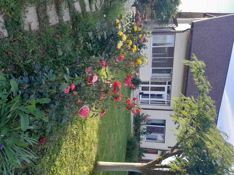 Vand casa cu teren. - 3