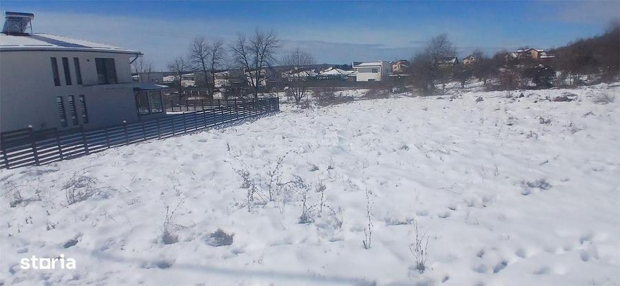 Teren intravilan 6345mp de vanzare Viforata - 4