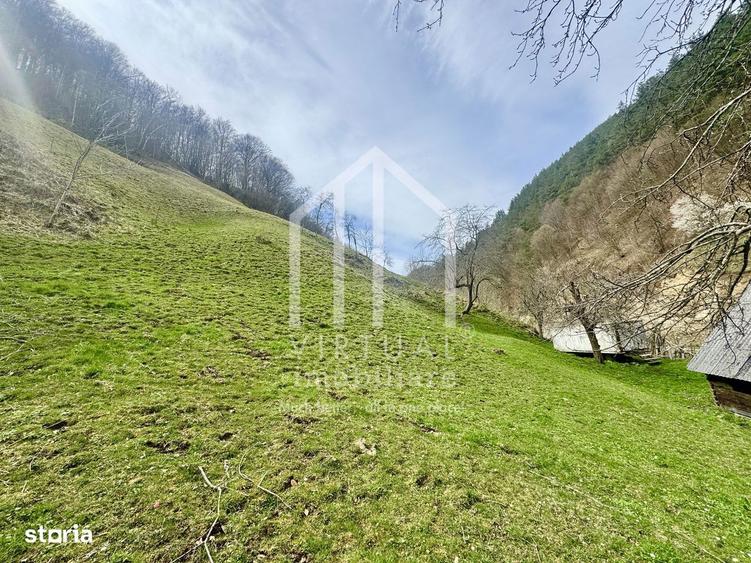 Teren intravilan + faneata, ideal pentru investitie - Rau Sadului - 12