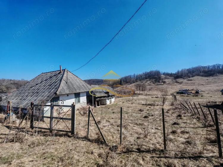 Vand teren intravilan Stejaru Bacau - 2