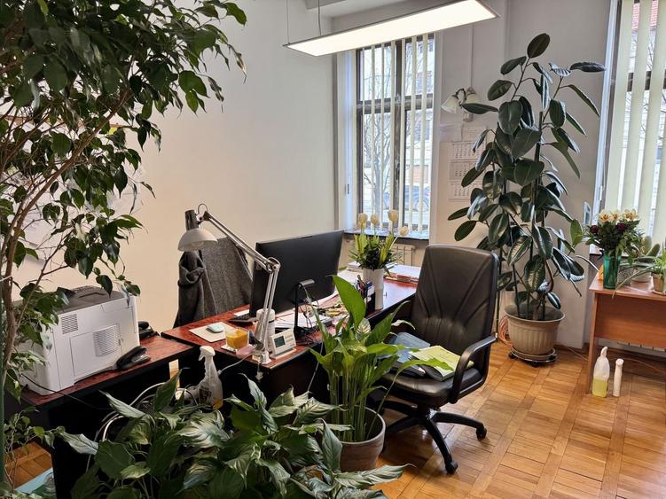 Brâncoveanu  Sp+P+M cu extindere P+1E+M pretabilă afacere - 40