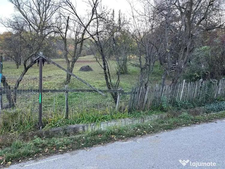 Teren intravilan 2.050 mp Comuna Izvoarele, jude?ul Pra - 6