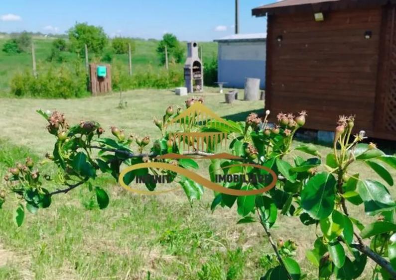 Teren cu Zona Intravilana, Bacau-Lilieci, 1200 mp - 14