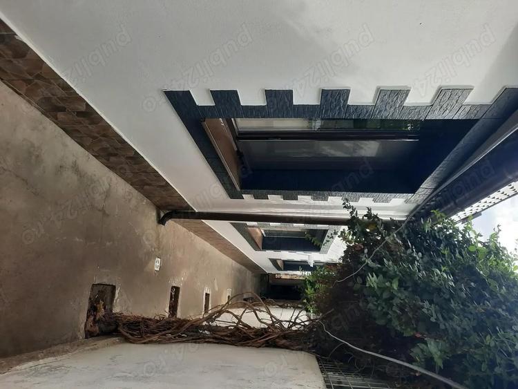 Vand casa Radu-Negru - 7