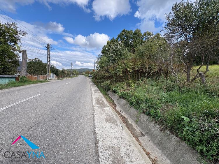 Lot teren 8.344 mp - Deschidere la 3 drumuri - Buhoci! - 3