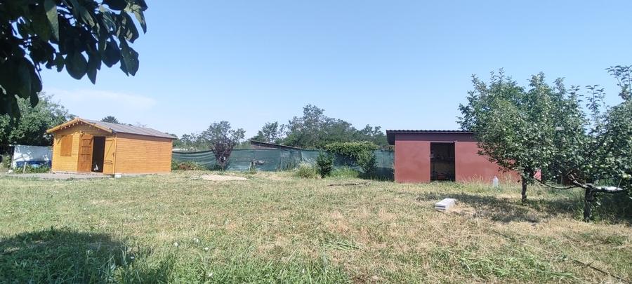 Căscioarele teren 1200 mp + căsuță de gradină și anexe - 4