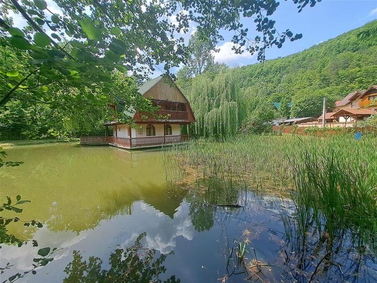 Casă individuală cu 6 camere cu Teren 2455 Mp în Pădurea Neagră