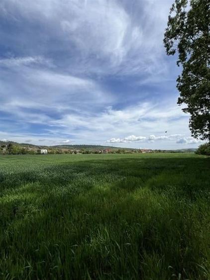 Cu PUZ, Tohanu Nou, Brasov - 1