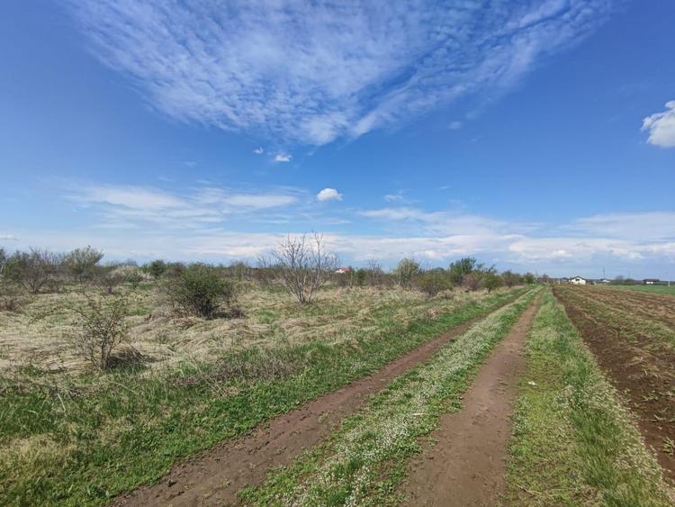 SUPER OFERTA - Loturi teren Peris - 1