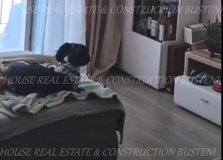 Sinaia-Apartament cu doua camere mobilat si utilat - 9