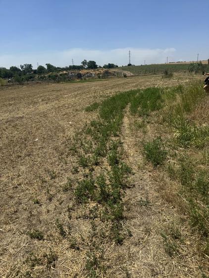 Propretar, vand teren intravilan in Ciocarlia de Sus, jud. Constanta. - 1