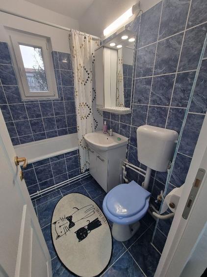 Inchiriez Ap 2 Brazda - 5