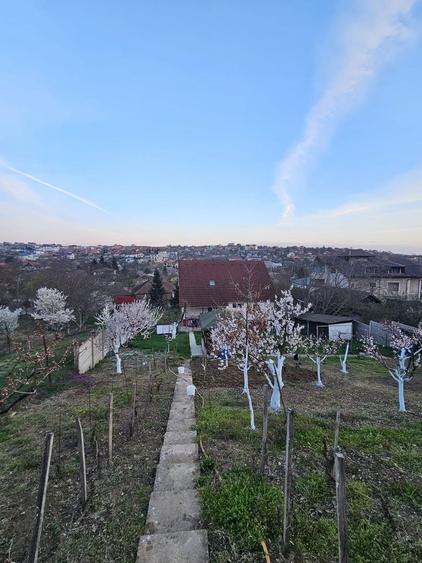 Vila  Oradea zona Iorga 420 mp ,teren 2000 ml - 3