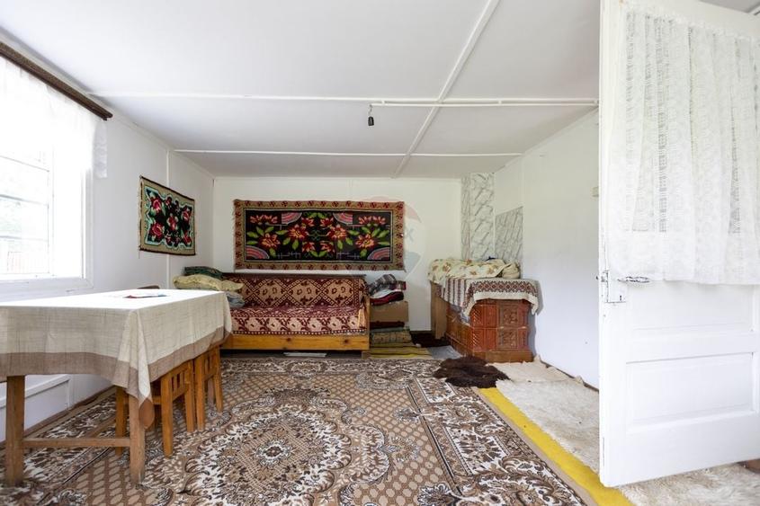 Ferma de vanzare, teren 21436 mp intravilan, Cosnea, Agas - 18