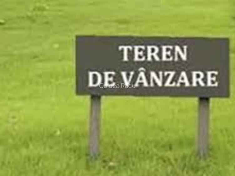 Teren de vanzare Chinteni 604mp