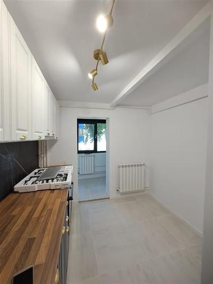 Apartament o camera, Spatiu comercial- Nicolina - 3