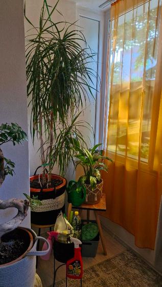 Apartament 2 camere  - 15