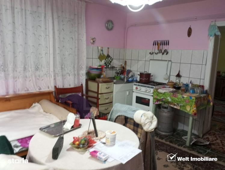 Casa cu teren 3320mp sat Dumbrava Capusu Mare - 5