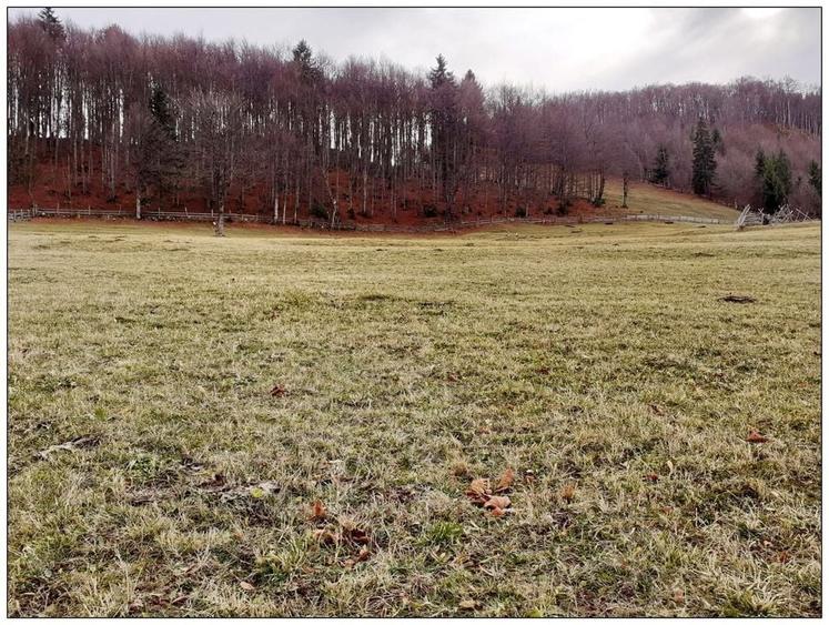 Teren Cu Priveliste Panoramica Si Acces Din Drumul Principal - 3