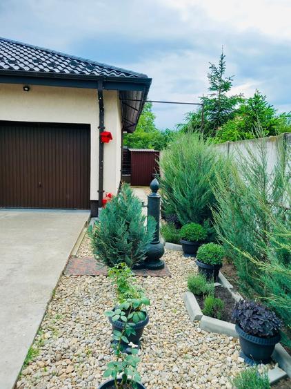 Vila Individuala Parter-Buftea - 10