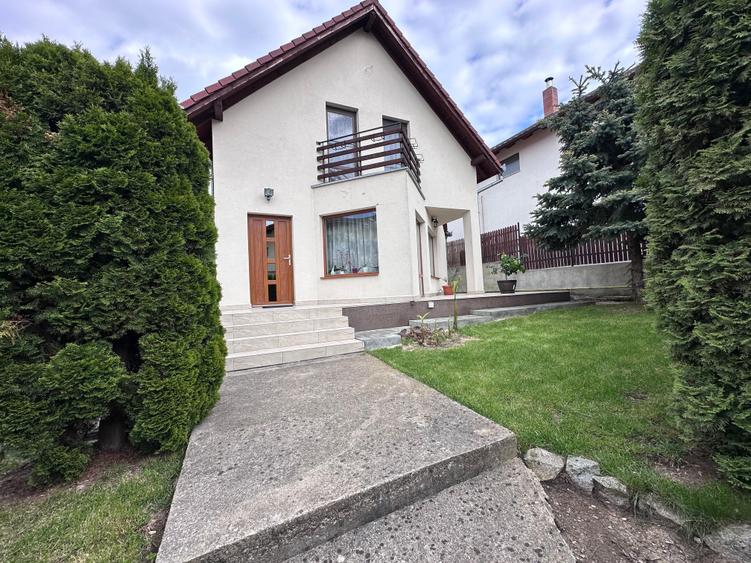 Doua proprietati in aceeasi curte de vanzare in Manastur - 1