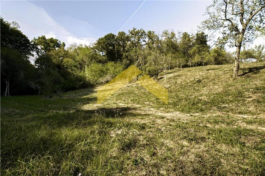 Casa cu padure de vanzare in Savarsini - 14