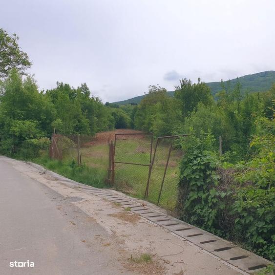 Turnu Rosu | 1.800 MP | Teren Intravilan - 4