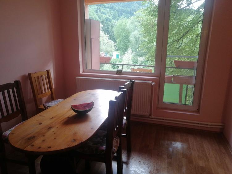 Inchiriez apartament Viseu de Sus 2 camere ultracentral la pret mic - 8