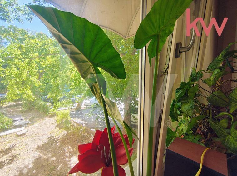 Apartament 3 Camere, Zona Linistita-Severinului - 1