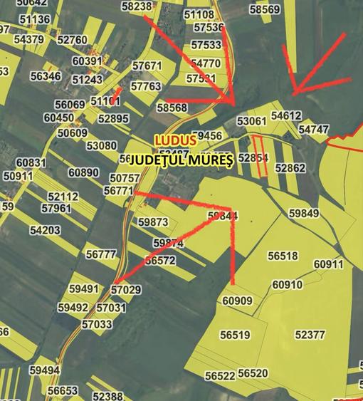 Teren 7.000 MP localitatea Ludus / Rosiori - 3