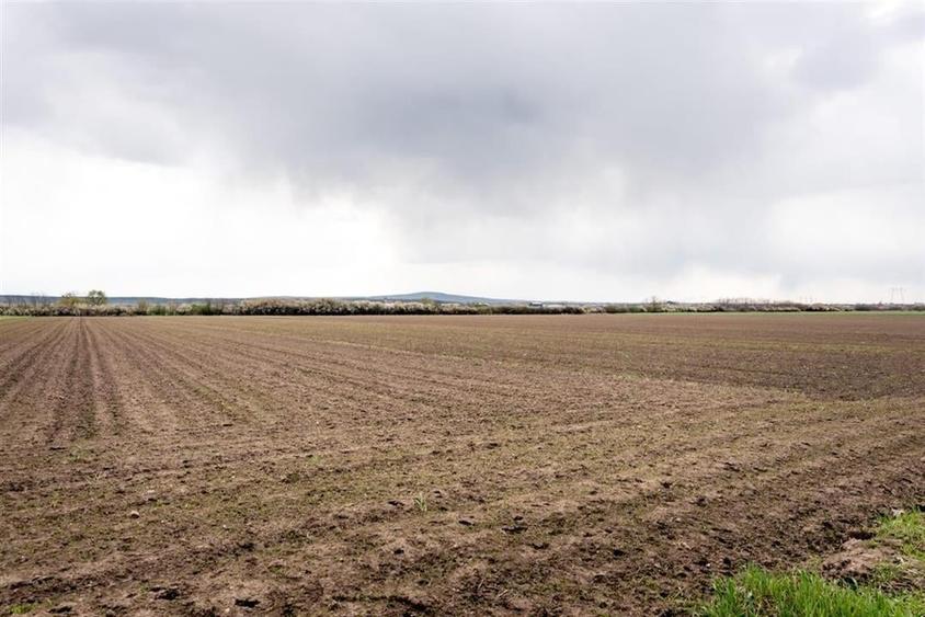 RECO . TEREN INTRAVILAN OSORHEI - 6