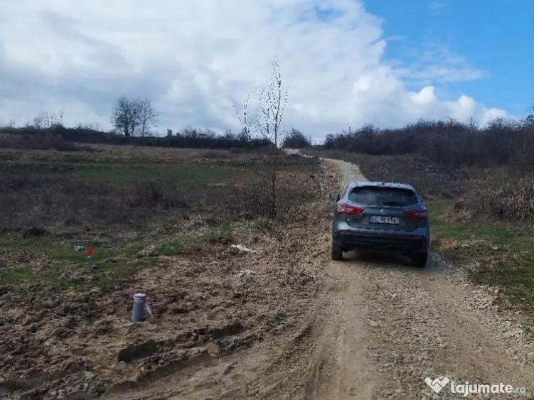 Teren intravilan Dobrogostea 880mp - 1