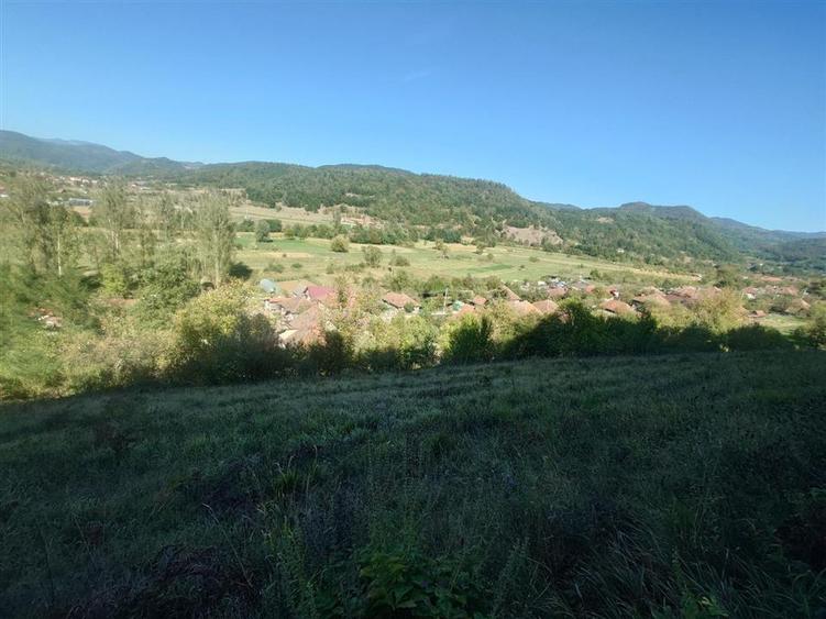 5,6 ha terenuri si padure in Criscior - 2