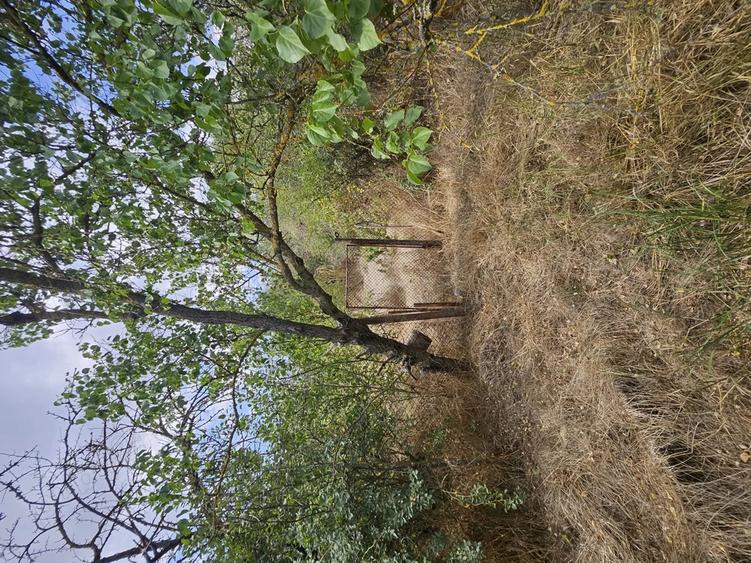 Gospodarie cu 2 case Comuna Trivale Mosteni, sat , la 30 km de Alexandria, jude?ul Teleorman 20 000 - 2