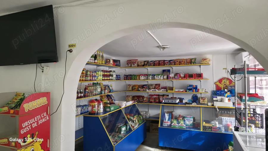 De vanzare imobil Comuna Putineiu Judet Giurgiu - 8