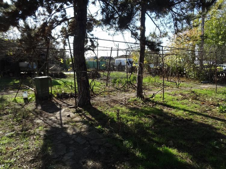 Teren cu casa, 3600mp, 4 camere de vanzare in Nicolae Balcescu - 7