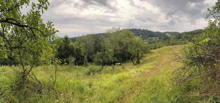 Teren de 2600 mp, în Drajna