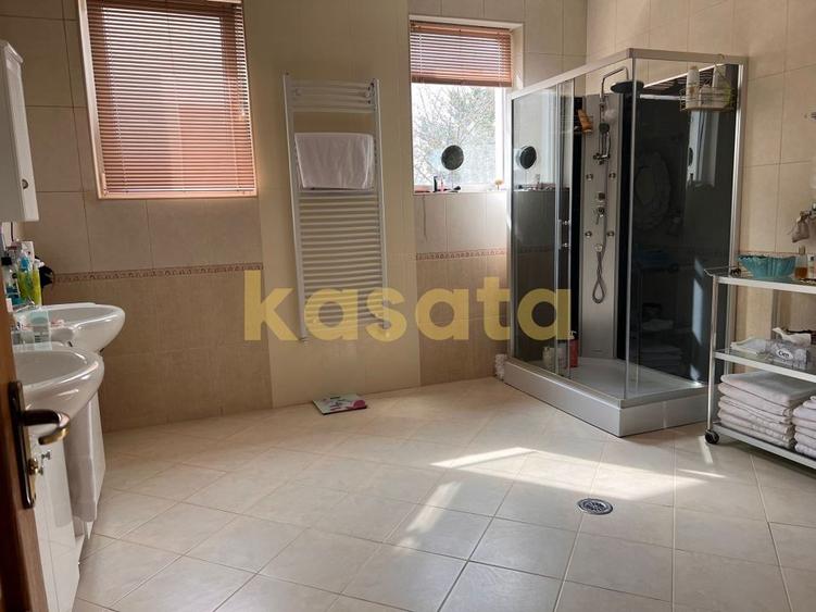 Vila deosebita 11 camere Erou Iancu Nicolae - 13