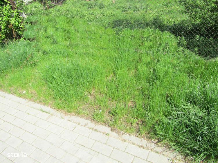 Teren intravilan de vanzare in Vintu de Jos - 1