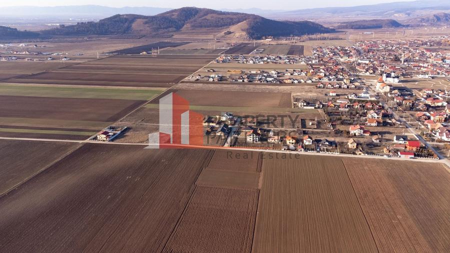 Casa cu teren 1500 mp in Harman - 22