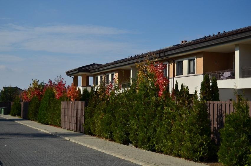 Vila 7 dormitoare piscina nemobilat Oxford Gardens - 4