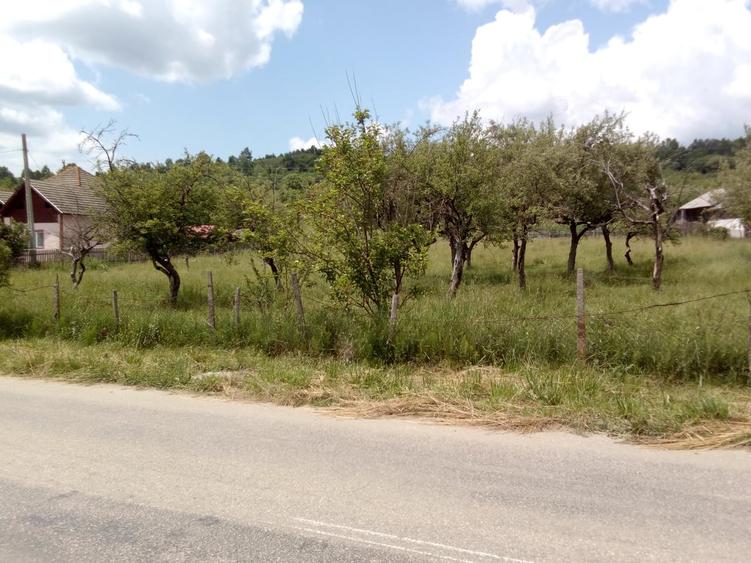 Mihaesti, Draghici - 1